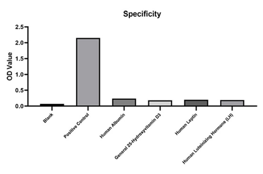 Standard Curve - Anti-AFP Antibody (A329104) - Antibodies.com
