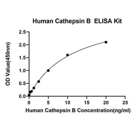 Standard Curve - Anti-Cathepsin B Antibody (A329174) - Antibodies.com