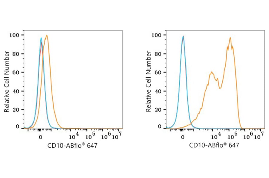 Flow Cytometry - Anti-CD10 Antibody [ARC67050] (A329185) - Antibodies.com