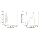Flow Cytometry - Anti-CD10 Antibody [ARC67050] (A329185) - Antibodies.com
