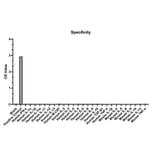 Specificity validation - Anti-CD25 Antibody (A329209) - Antibodies.com