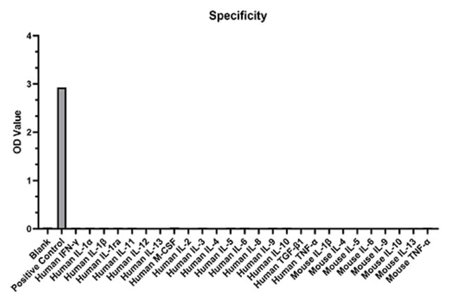 Specificity validation - Anti-CD25 Antibody (A329210) - Antibodies.com