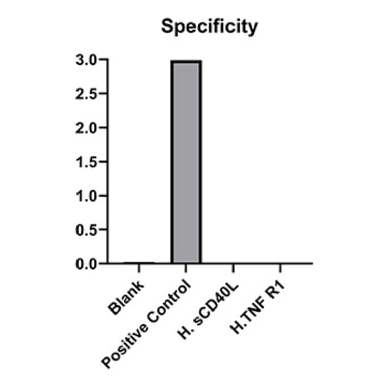 Specificity validation - Anti-CD40 Antibody (A329217) - Antibodies.com