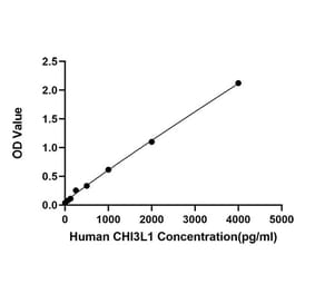 Standard Curve - Anti-CHI3L1 Antibody (A329258) - Antibodies.com