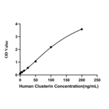Standard Curve - Anti-Clusterin Antibody (A329270) - Antibodies.com