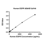 Standard Curve - Anti-EGFR Antibody (A329337) - Antibodies.com