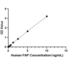 Standard Curve - Anti-FAP Antibody (A329361) - Antibodies.com