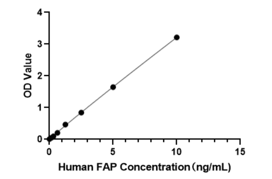 Standard Curve - Anti-FAP Antibody (A329361) - Antibodies.com