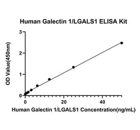 Standard Curve - Anti-Galectin 1 Antibody (A329384) - Antibodies.com