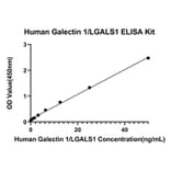 Standard Curve - Anti-Galectin 1 Antibody (A329384) - Antibodies.com