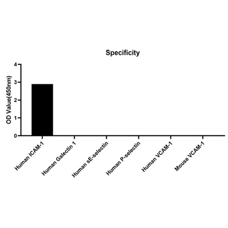 Specificity validation - Anti-ICAM1 Antibody (A329452) - Antibodies.com