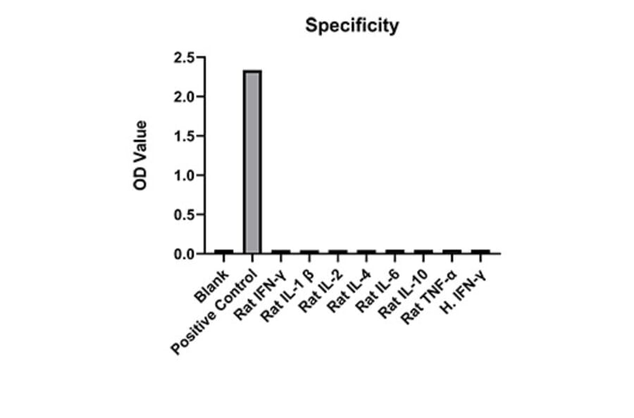 Specificity validation - Anti-IFN gamma Antibody (A329463) - Antibodies.com