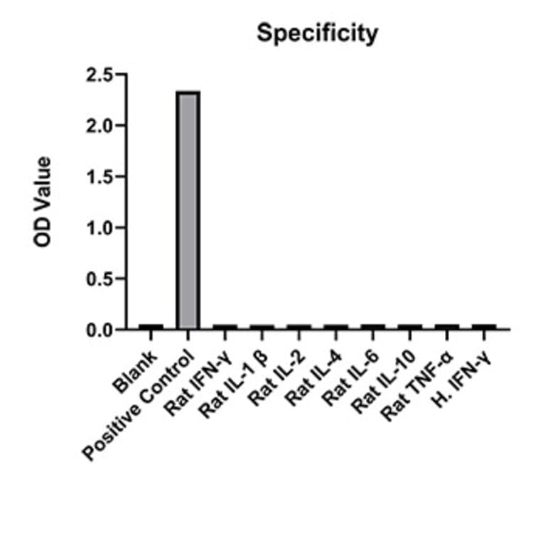 Specificity validation - Anti-IFN gamma Antibody (A329463) - Antibodies.com