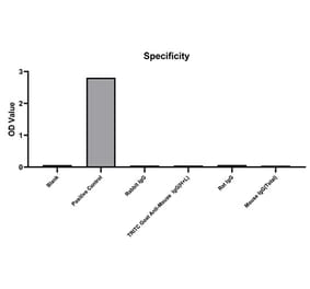 Specificity validation - Anti-IgG Antibody (A329468) - Antibodies.com