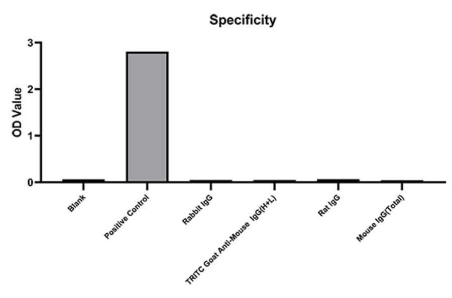 Specificity validation - Anti-IgG Antibody (A329468) - Antibodies.com