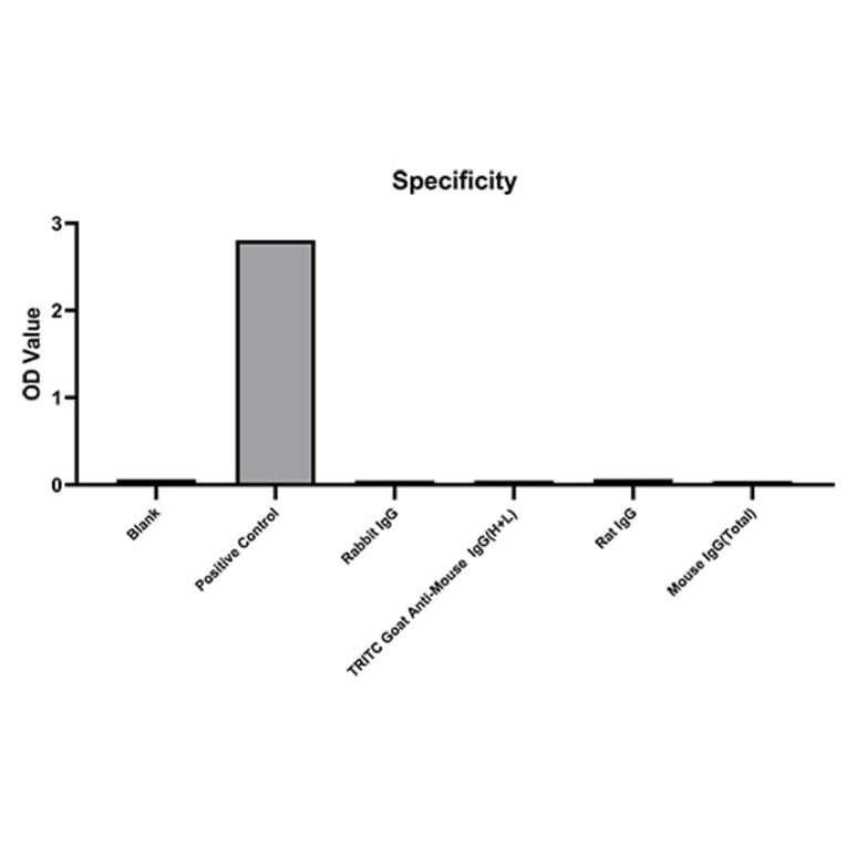 Specificity validation - Anti-IgG Antibody (A329468) - Antibodies.com