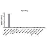 Specificity validation - Anti-IL-1 alpha Antibody (A329477) - Antibodies.com