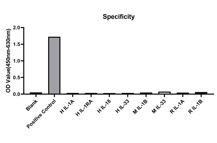 Specificity validation - Anti-IL-1 beta Antibody (A329482) - Antibodies.com