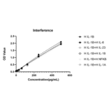 Competition assay - Anti-IL-1 beta Antibody (A329482) - Antibodies.com