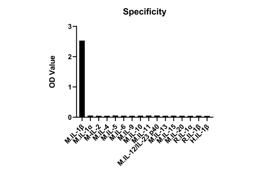 Specificity validation - Anti-IL-1 beta Antibody (A329483) - Antibodies.com