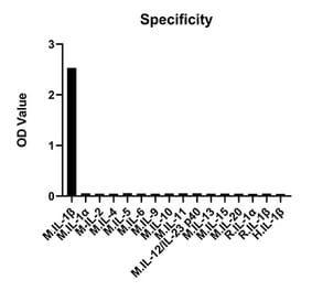 Specificity validation - Anti-IL-1 beta Antibody (A329484) - Antibodies.com