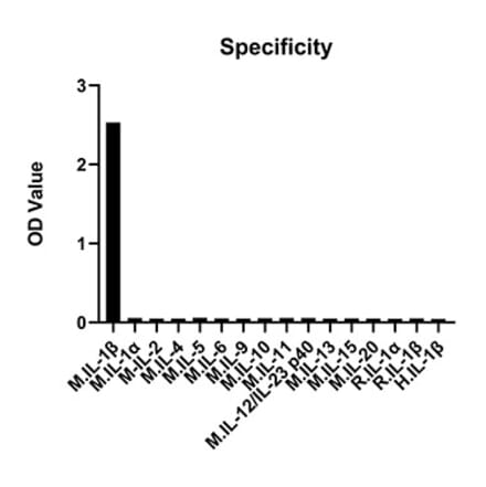 Specificity validation - Anti-IL-1 beta Antibody (A329484) - Antibodies.com