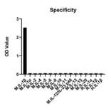 Specificity validation - Anti-IL-1 beta Antibody (A329484) - Antibodies.com