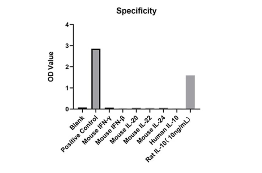 Specificity validation - Anti-IL-10 Antibody (A329486) - Antibodies.com