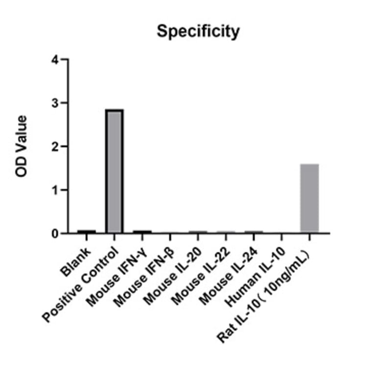 Specificity validation - Anti-IL-10 Antibody (A329486) - Antibodies.com