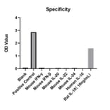 Specificity validation - Anti-IL-10 Antibody (A329486) - Antibodies.com