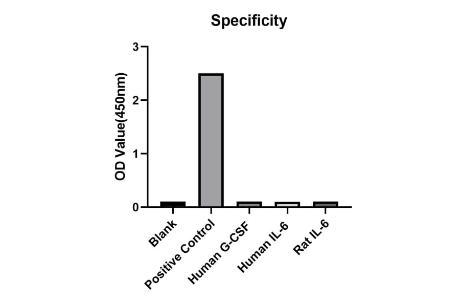 Specificity validation - Anti-IL-12A Antibody (A329498) - Antibodies.com