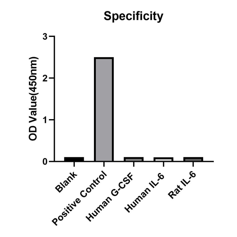 Specificity validation - Anti-IL-12A Antibody (A329498) - Antibodies.com