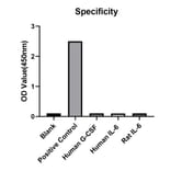 Specificity validation - Anti-IL-12A Antibody (A329498) - Antibodies.com