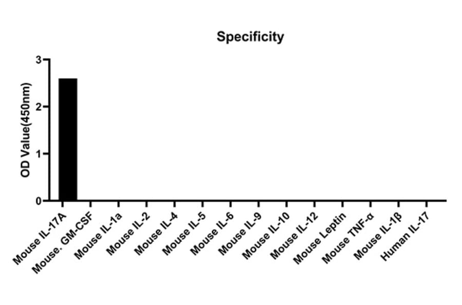 Specificity validation - Anti-IL-17A Antibody (A329509) - Antibodies.com
