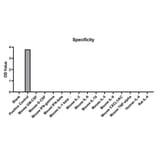 Standard Curve - Anti-IL-4 Antibody (A329527) - Antibodies.com