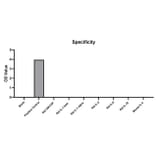 Standard Curve - Anti-IL-4 Antibody (A329528) - Antibodies.com