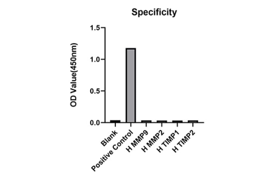 Standard Curve - Anti-MMP3 Antibody (A329612) - Antibodies.com