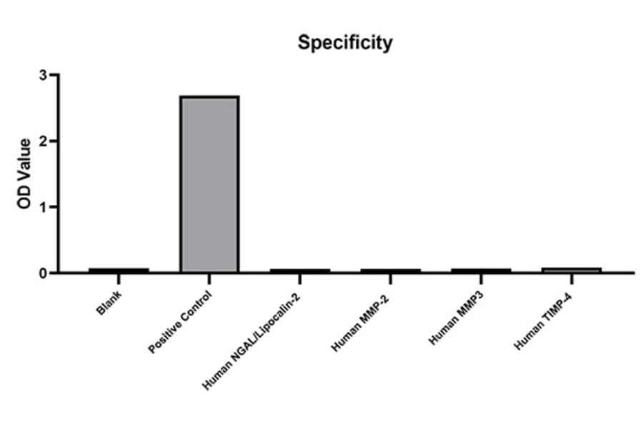 Standard Curve - Anti-MMP9 Antibody (A329614) - Antibodies.com