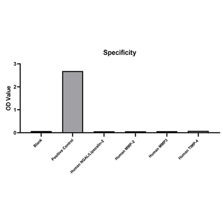Standard Curve - Anti-MMP9 Antibody (A329614) - Antibodies.com