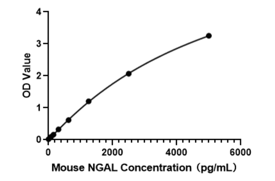 Standard Curve - Anti-NGAL Antibody (A329677) - Antibodies.com