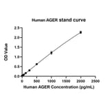 Standard Curve - Anti-RAGE Antibody (A329787) - Antibodies.com