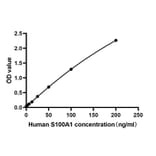 Standard Curve - Anti-S100A1 Antibody (A329821) - Antibodies.com