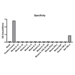 Standard Curve - Anti-TNF alpha Antibody (A329908) - Antibodies.com