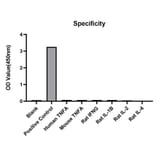 Standard Curve - Anti-TNF alpha Antibody (A329910) - Antibodies.com