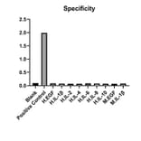 Specificity validation - Anti-TNFR1 Antibody (A329915) - Antibodies.com