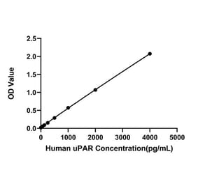 Standard Curve - Anti-uPAR Antibody (A329941) - Antibodies.com