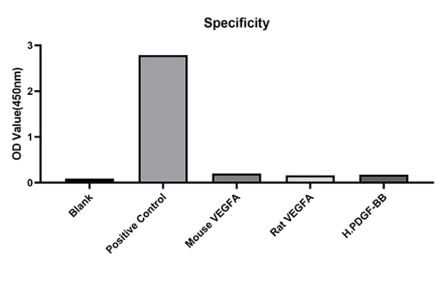 Standard Curve - Anti-VEGFA Antibody (A329953) - Antibodies.com
