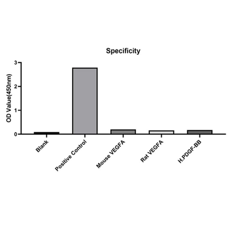 Standard Curve - Anti-VEGFA Antibody (A329953) - Antibodies.com