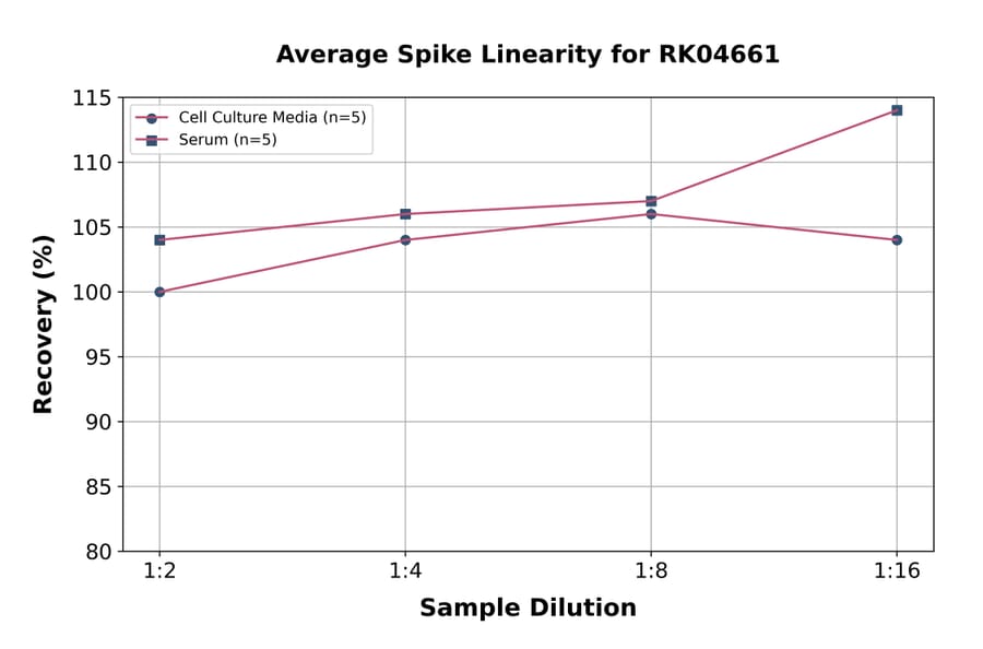 Standard Curve - Human CD40 ELISA Kit (A330000) - Antibodies.com