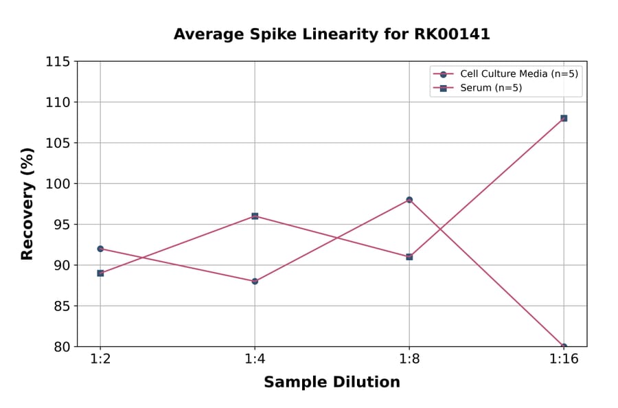 Standard Curve - Human CD62E ELISA Kit (A330001) - Antibodies.com